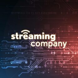 Partner: StreamingCompany